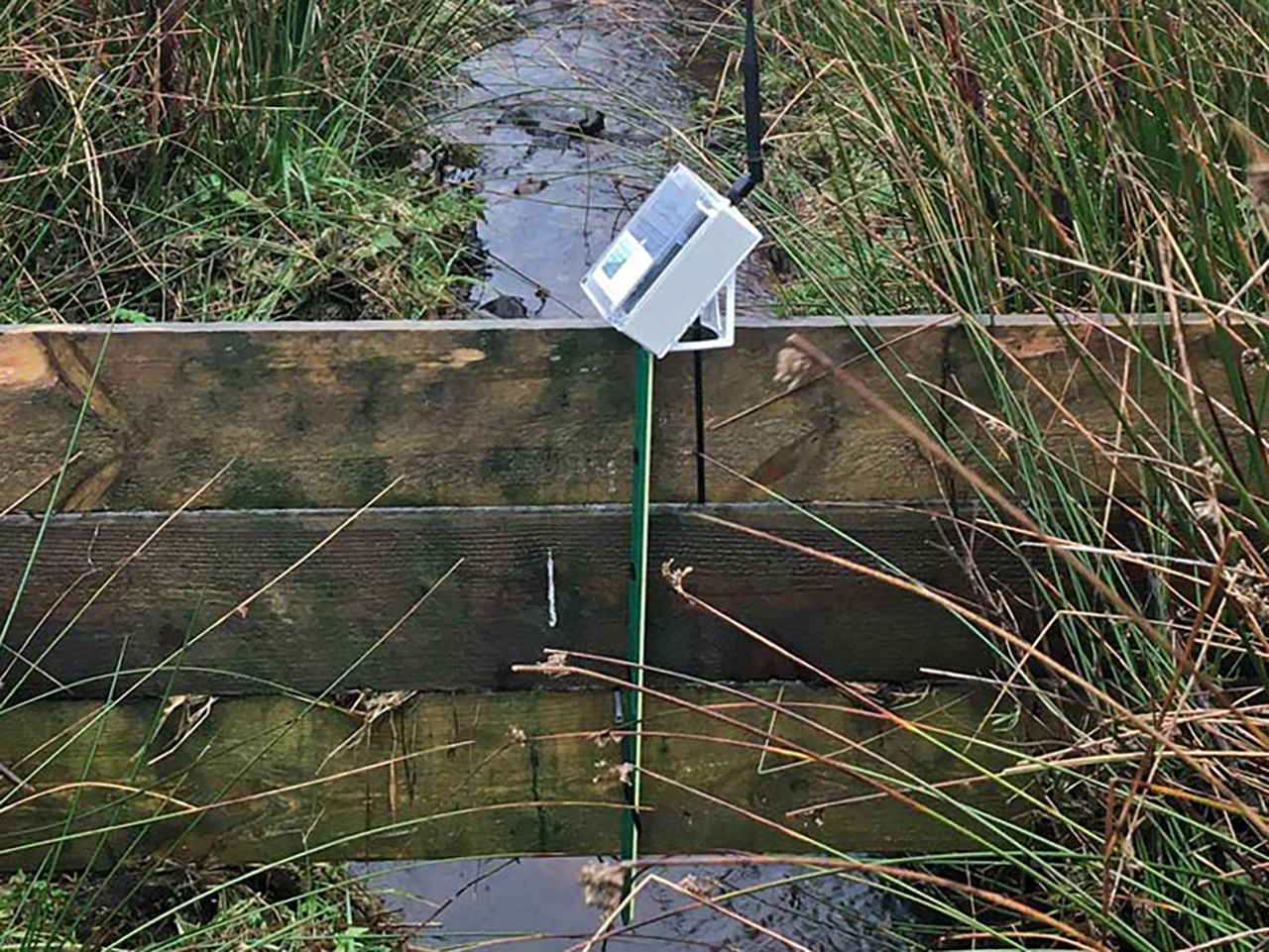 IoT SENSORS AID FLOOD PREVENTION PROJECT