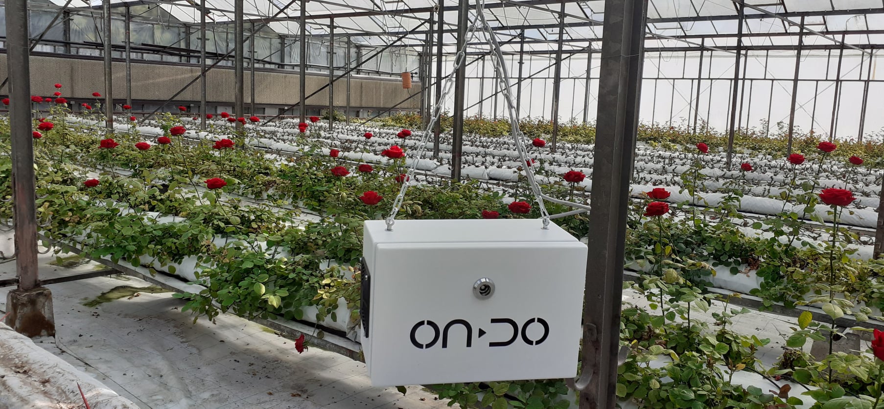 ONDO Smart Farming Solutions shares first customer results in a case study for Roseland customer