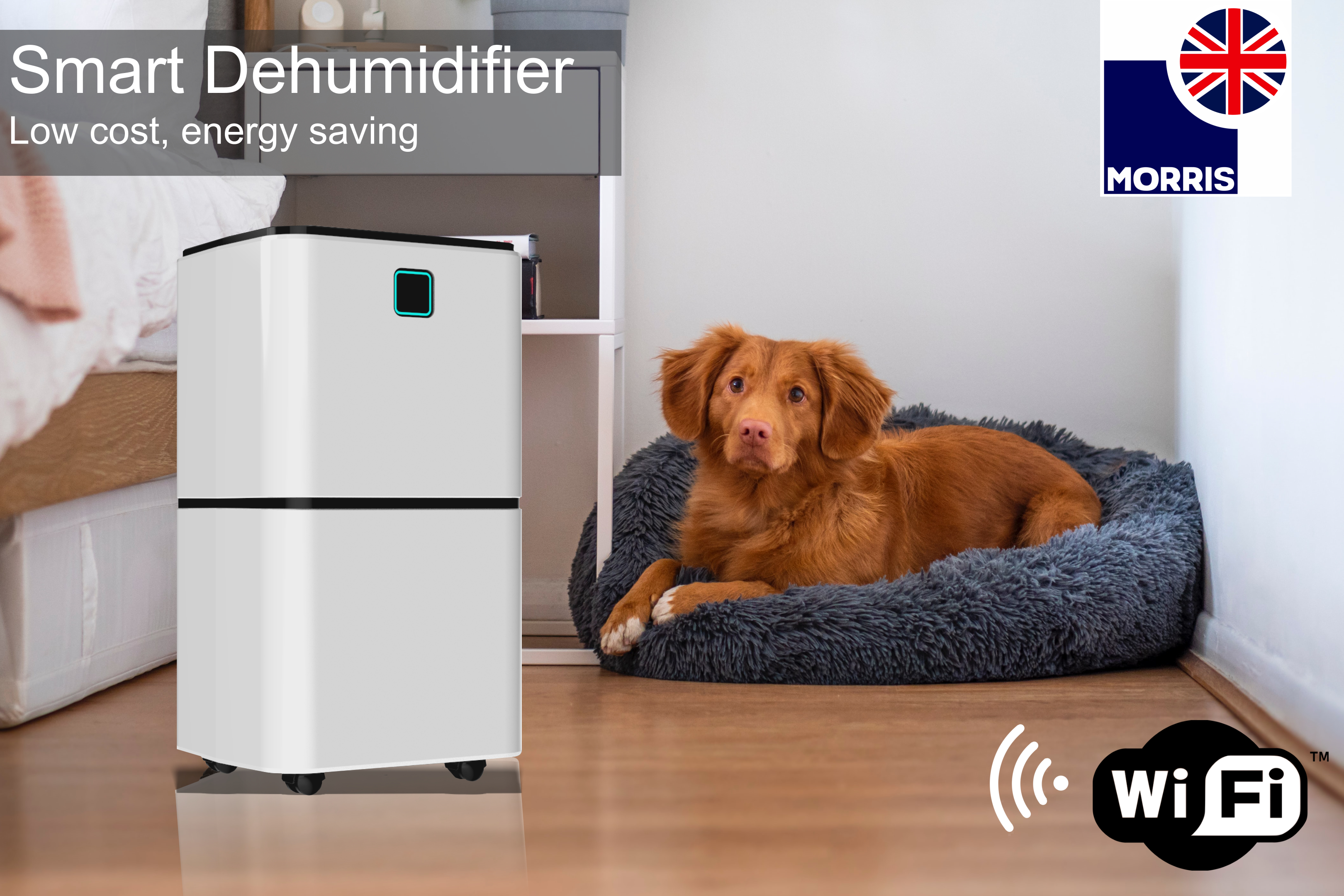 LED First Choice Launch Morris 12 Litre Smart Dehumidifier with Wi-Fi