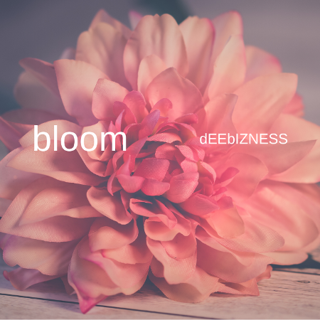 dEEbIZNESS Delivers Groovy, Melodic, & Eclectic Electronic LP ‘Bloom’