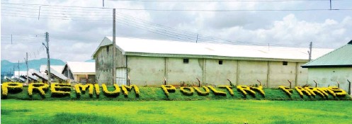 Rensource and Premium Poultry team up with Empower to deploy solar energy project to poultry farm