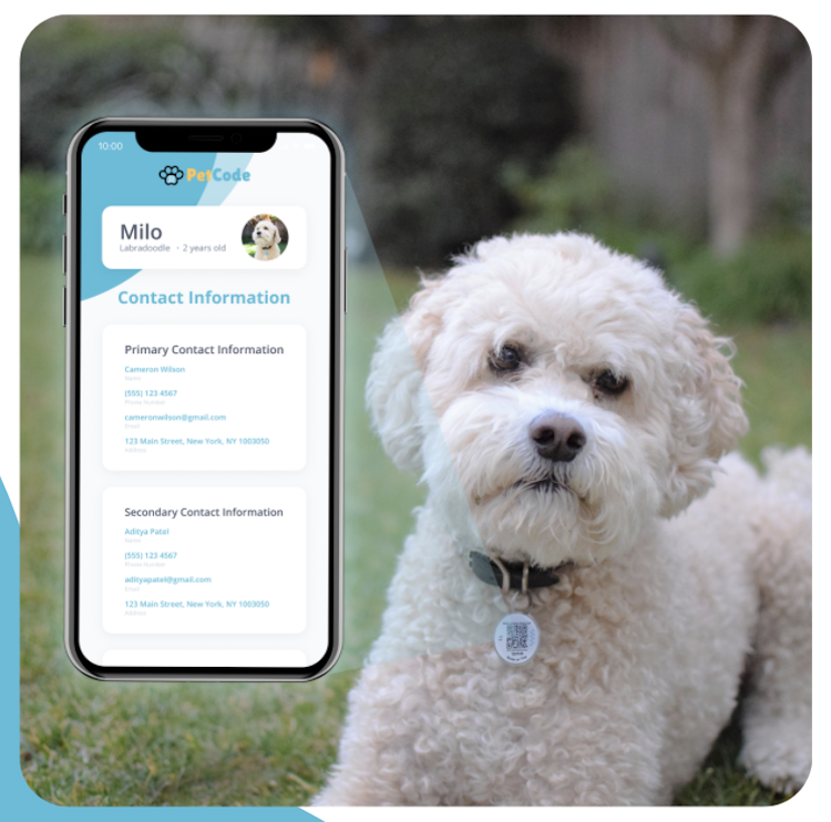 Introducing PetCode – The Ultimate Pet Management System