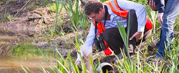 Experienced Indigo Surveys Offers Affordable, Quick and Reliable Ecology Surveys in the UK