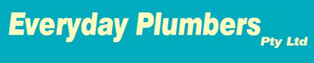 Everyday Plumbers Deliver Extraordinary Services for Everyday People