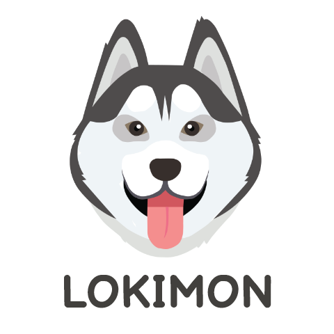 Lokimon-Pet's favorite place | One-stop solution for a pet