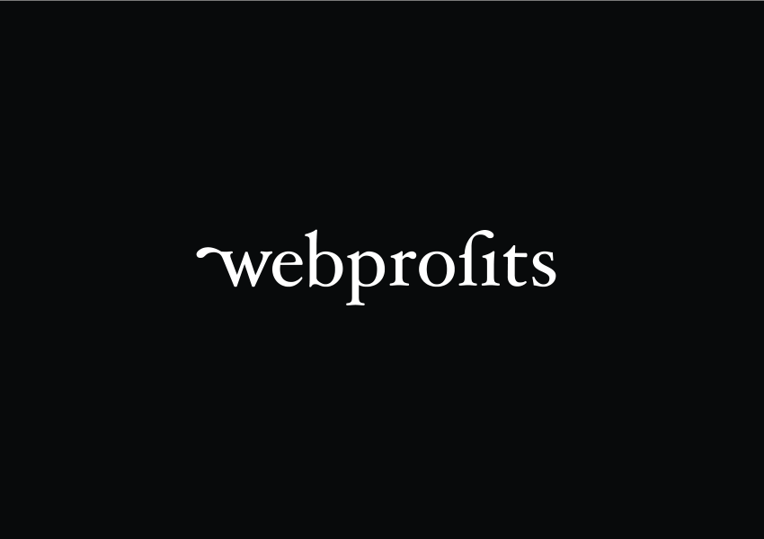 Webprofits Evolves Brand and Forges New Success in Turbulent Times