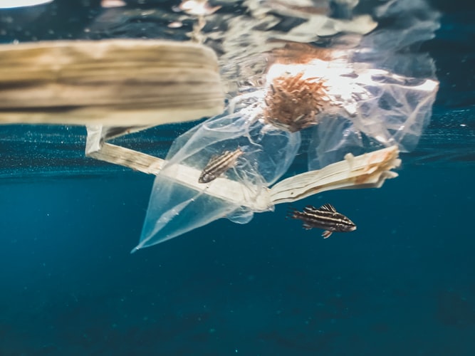 Raising awareness about single-use plastics in supply chains