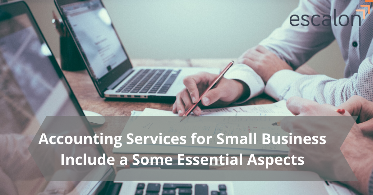 Accounting Services for Small Business Include a Few Essential Aspects